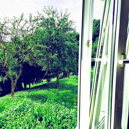 Apartament Parkowy Mragowo Apartment Екстериор снимка