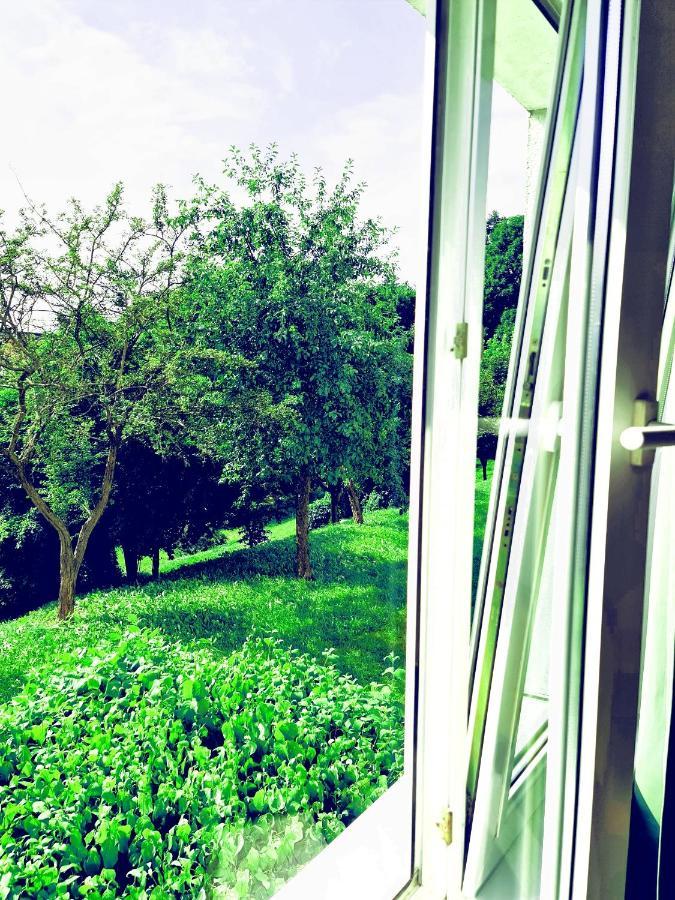 Apartament Parkowy Mragowo Apartment Екстериор снимка